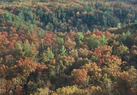 Red River Gorge in Fall